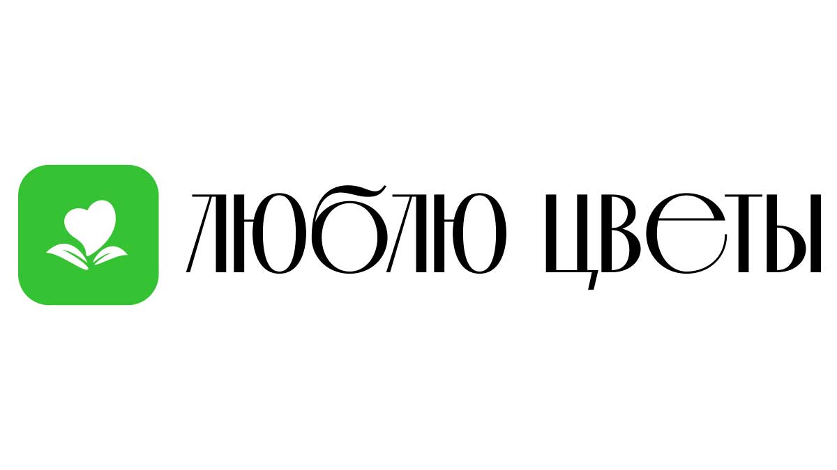 Доставка цветов - Бородино | Купить цветы и букеты - Недорого -  Круглосуточно | Заказ на дом от интернет-магазина «Люблю цветы»